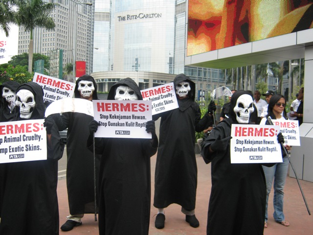 Beware of Hermès' Cruel Wares - News - PETA Asia