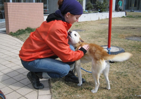 PETA’s Work After the 2011 Japan Earthquake