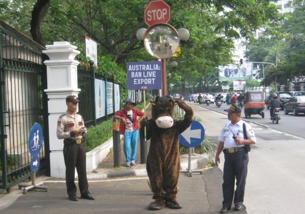 Who Was Stalking Kevin Rudd in Jakarta?