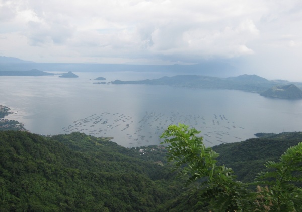 Tagaytay: Beautiful Views, Harsh Realities for Horses