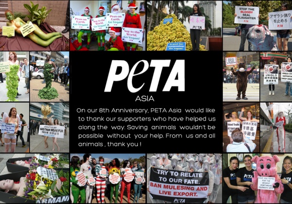 Happy Birthday to PETA Asia!!