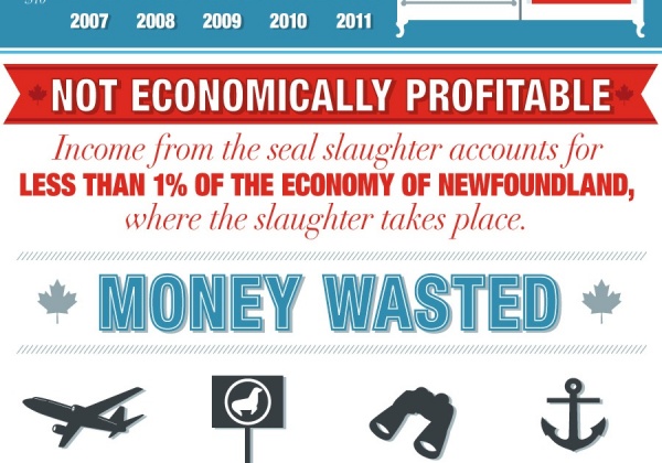 Canada’s Commercial Seal Slaughter: A Dying Industry (Infographic)