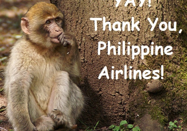 Victory! Citing PETA Pressure, Philippine Airlines Stops Shipping Primates to Labs