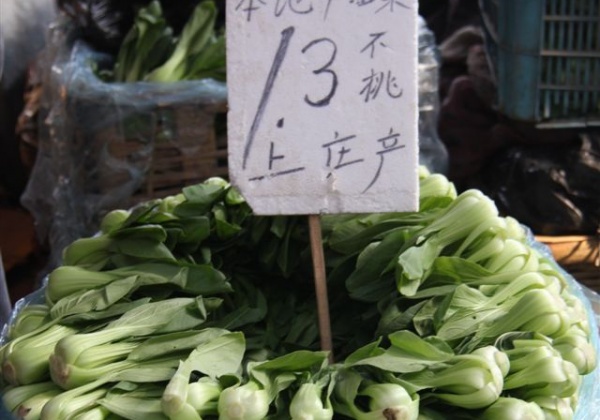 China Sets Trend for New Vegetarians Worldwide