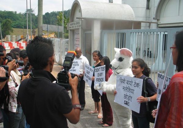 Stand Up and Stand Out: Holding a Demonstration to Help Animals