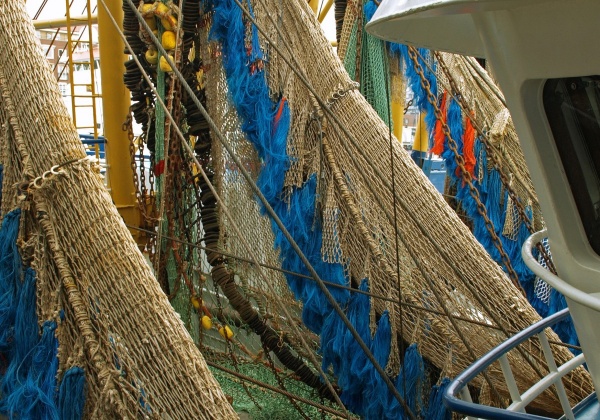 The Myth That Is ‘Sustainable’ Fishing