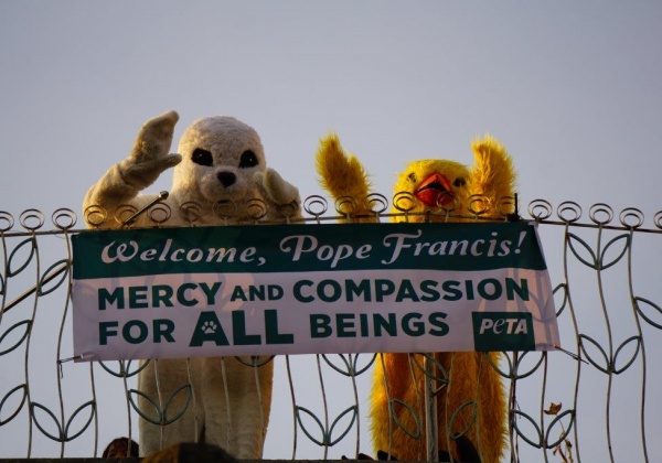 PETA’s Herd Of ‘Animals’ Greets Pope Francis