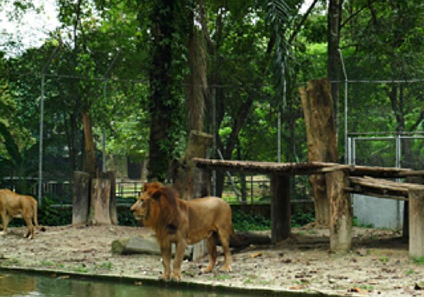 Zoo Negara: An Out-of-Date Facility