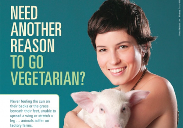 Missy Higgins’ Good Reason to Go Vegetarian