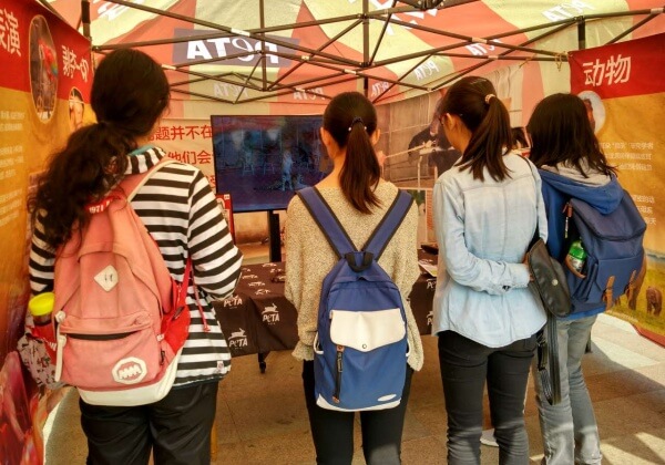 PETA Asia Reaches Millions Online With Its Compassionate Animal Rights Message