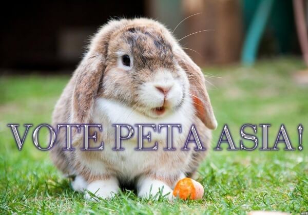 Help PETA Asia #WinTheJackpot