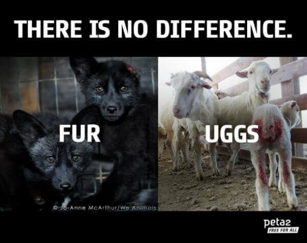 what fur does ugg use