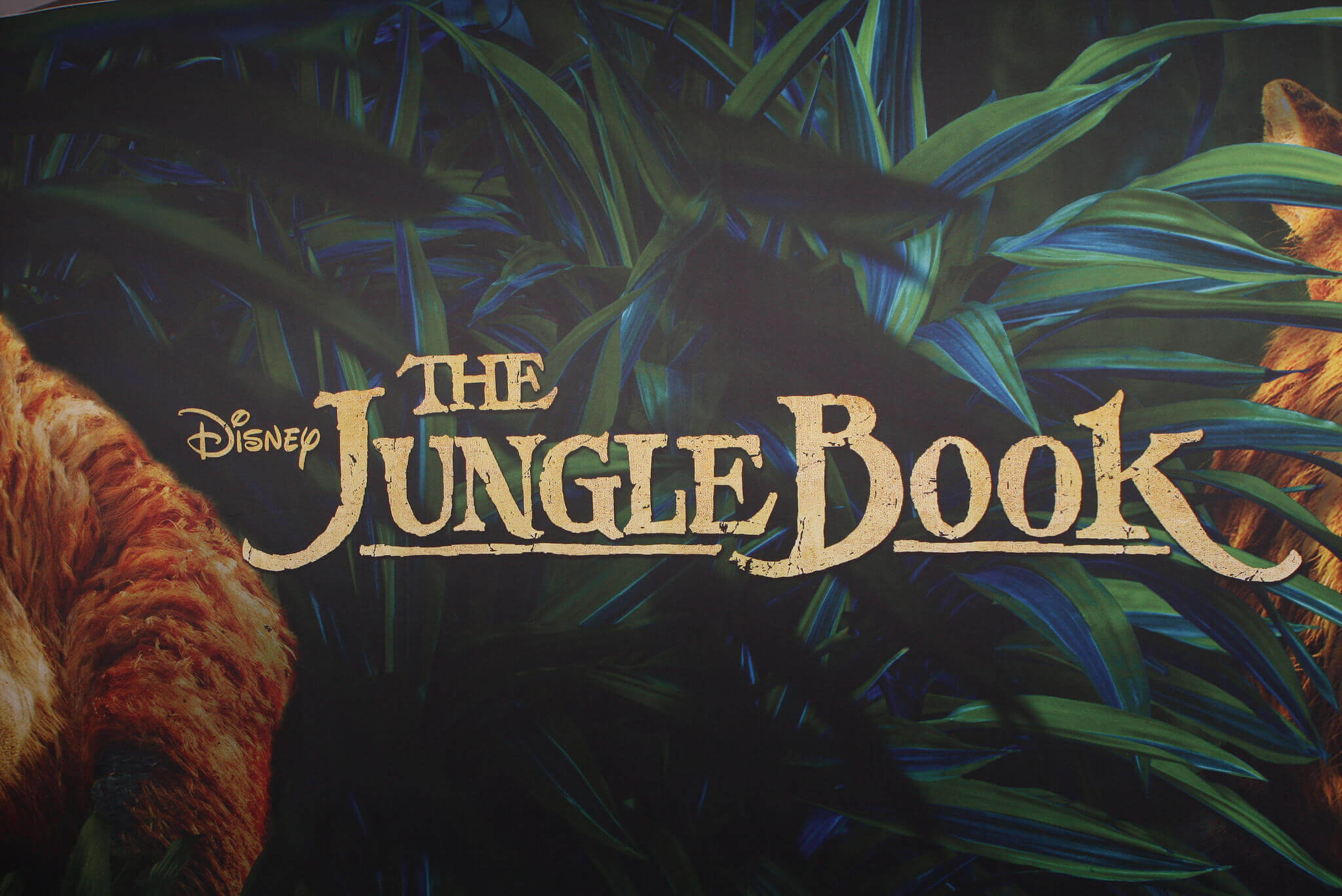 No Bears Necessary for New ‘Jungle Book’