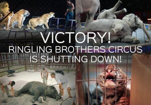 Goodbye Forever! Ringling Bros. Circus is Shutting Down