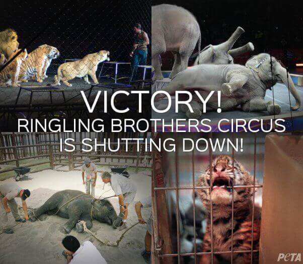 Goodbye Forever! Ringling Bros. Circus is Shutting Down