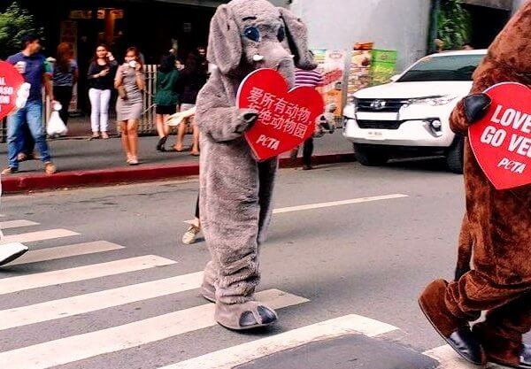 PHOTOS: “Animals” Spread Message of Love for Valentine’s Day