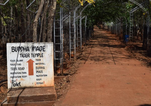 PHOTOS: What Does Tiger Temple Look Like Now?