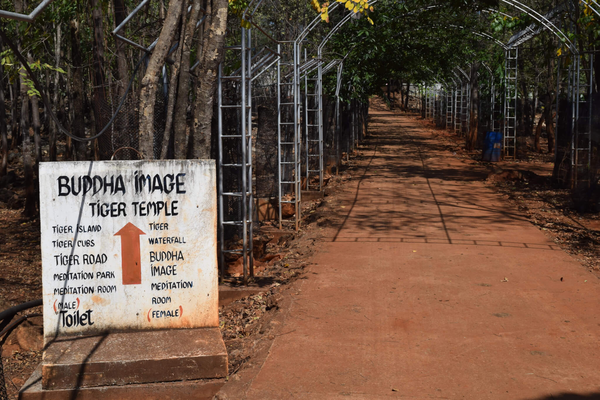 PHOTOS: What Does Tiger Temple Look Like Now?