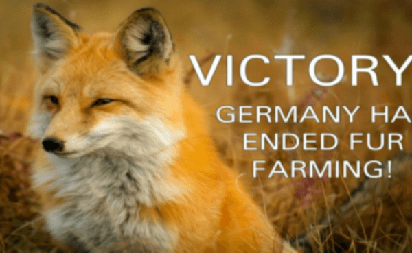 Germany Says Goodbye to Fur Farming