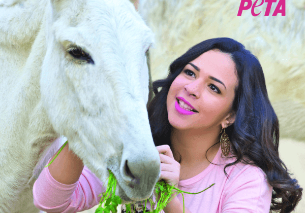 Egyptian Superstar Amy Samir Ghanem Calls for Kindness to Donkeys in Jordan