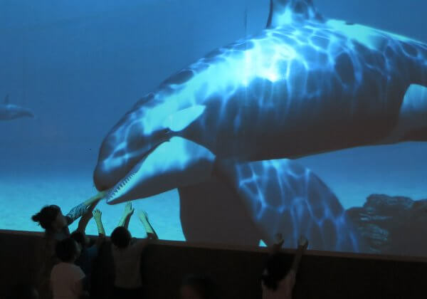 Say Hello to the Future of Aquariums: No Animals Harmed