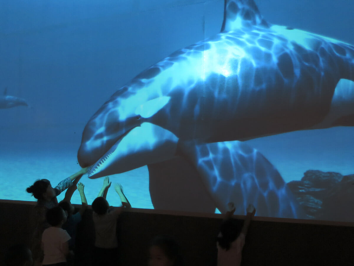 Say Hello to the Future of Aquariums: No Animals Harmed