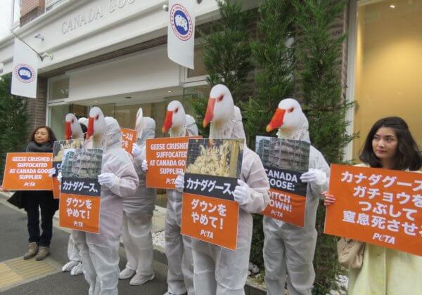 PHOTOS: ‘Geese’ Protest Canada Goose Store in Tokyo