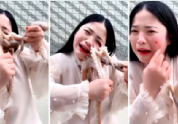 Vlogger Who Tried to Eat Live Octopus Receives Instant Karma