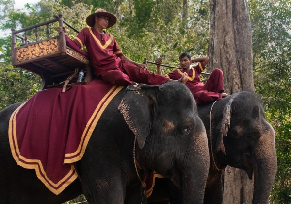 Progress! Cambodia’s Biggest Attraction, Angkor Wat, Set to End Elephant Rides