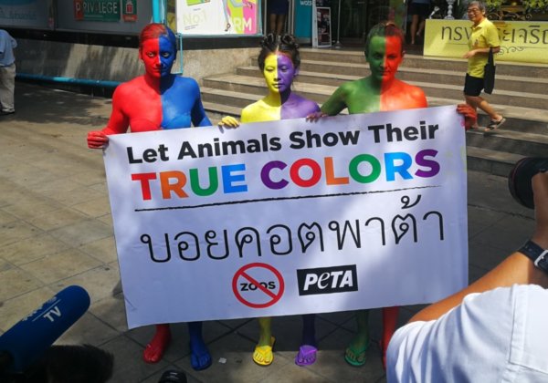 PHOTOS: Colorful PETA Protesters Call For Boycott of the Pata Zoo