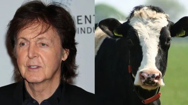 Paul McCartney’s Birthday Wish: ‘Watch My PETA Video and Ditch Meat’