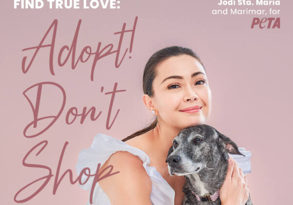 Jodi Sta. Maria Says, ‘Find True Love: Adopt! Don’t Shop’