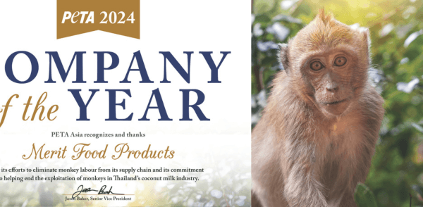 Thailand’s Merit Food Products Wins PETA Asia’s Company of the Year